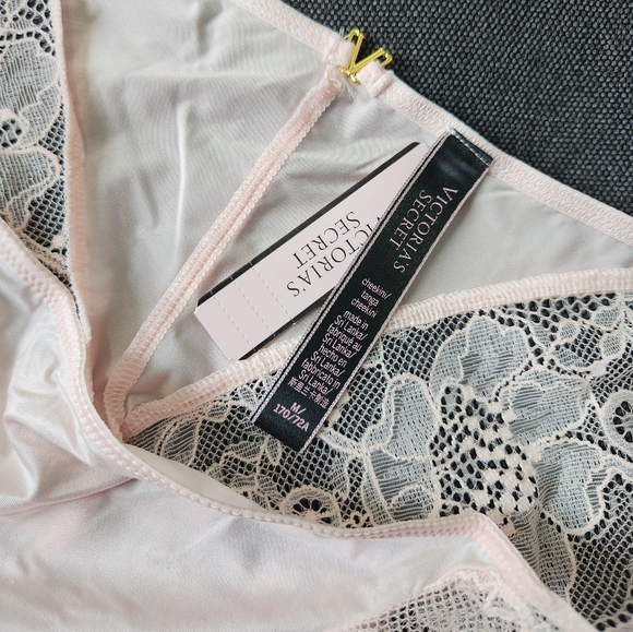 Victoria Secret Lace Trim Cheekini Panty Medium Size Purest Pink Color - Picture 6 of 7